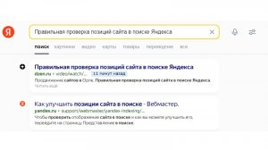 Правильная проверка позиций сайта в поиске Яндекса