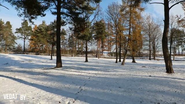 Десятники - Военное захоронение Первой Мировой Войны смотреть онлайн