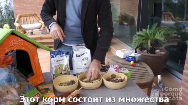Хомяки-питание хомяков