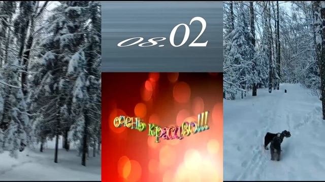 красота
