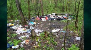 "Леса и человек", Окружающий мир 4 класс ч.1, с.131-132, Планета знаний.