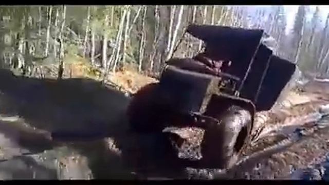 Болотоход