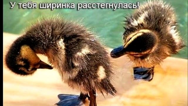 С первым апреля улыбайся друг смотреть онлайн