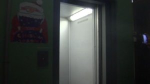 Электрический лифт V=0,71 м-с, грузоподъемность 320 кг (1300)