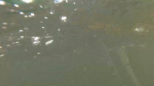 ЛОВИТЬ РЫБУ РУКАМИ