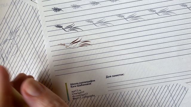 Бесплатный урок по каллиграфии №5. Росчерки смотреть онлайн