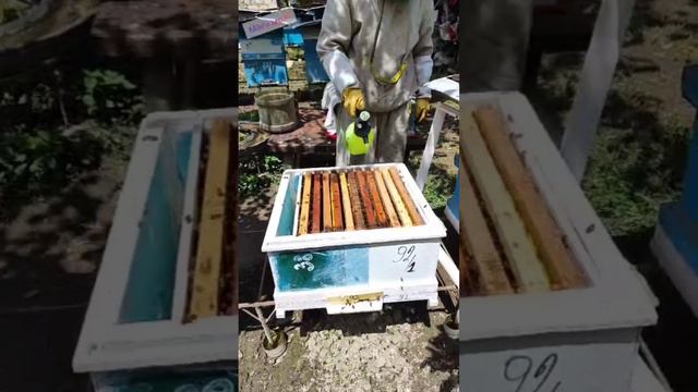 1000158178.mp4