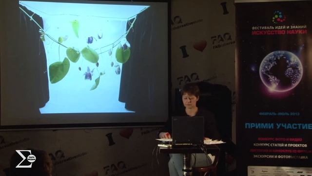 История фотографии смотреть онлайн