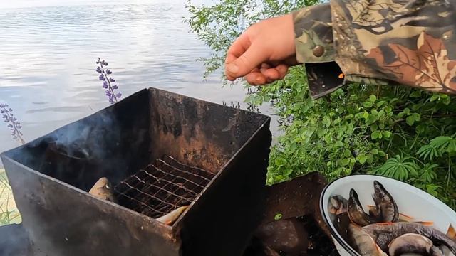 Очень рыбки захотелось!