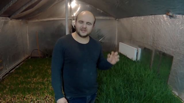 Чому підсихають кінчики в зеленій цибулі?№2 / Почему подсыхают кончики в зеленом луке? №2 смотреть онлайн