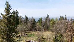 Истории из жизни. Михаил возвращается из тюрьмы, но девушка, которая обещала его ждать вышла замуж