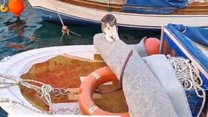 #eskifoça#Фоча#Измир
Куда поехать на выходные