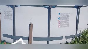 бассейн дачный, урок 10 - чистка дна и остального