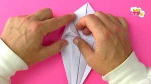 Easy Origami Parrot Cockatoo. How to make paper cockatoo parrot from A4