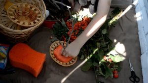 DIY. Осенняя поделка в садик (школу) из природных материалов