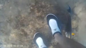 Рыба хирург  Съемка под водой