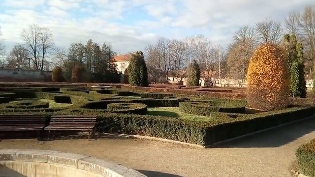 Живая изгородь из самшита/Boxwood Hedge