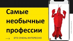 Самые Странные Работы, За Которые Хорошо Платят