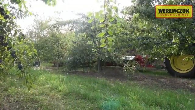 Уборка вишни | Стряхивающий и очищающий агрегат MAJA фирмы WEREMCZUK FMR смотреть онлайн