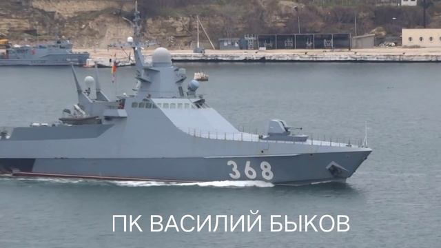 Василий Быков