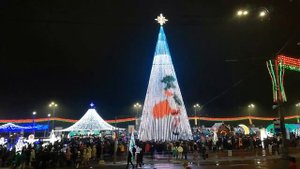 "Раз, два, три - ёлочка, гори! Раз, два, три - праздник нам дари!.."