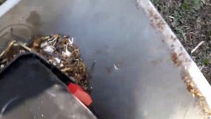 Обзор Измельчитель садовый Зубр ЗИЭ-44-2800