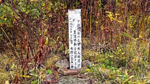 Старое японское кладбище / г.Николаевск-на-Амуре / 30.09.2023 / 日本兵の遺骨がここに眠っている