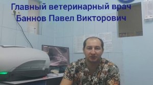 Хирургическое лечение патологического перелома шейки бедренной кости у Мейн-куна.mp4
