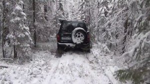 Верхнекамский район Кировской области. 24-25 октября 2015 урочище Кувшиново