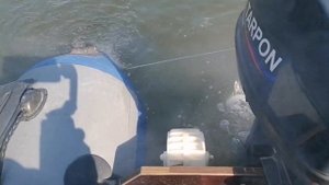Tarpon 9.9 OTH. Завершение обкатки. Обзор масла Hidea 2T.