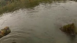 Рыбалка на Карповке