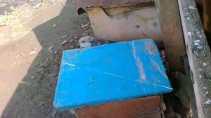 сабака какает