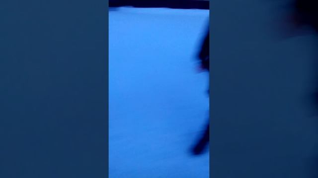 ЛедЯнки. Ромчик смотреть онлайн