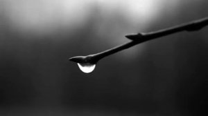 Пусть возвращаются (Александр Розенбаум)