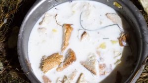 Вьетнамские свиньи  Плюсы и минусы  Особенности