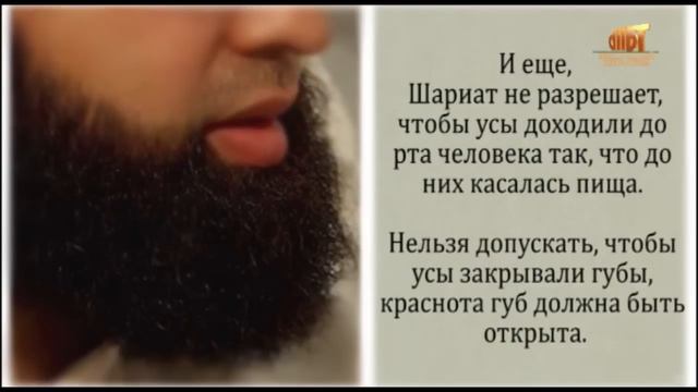 О бороде Абдулгафуриль Мухаммад хаджи Taalib ru смотреть онлайн