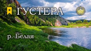 ✮ р. Белая ✮ Густера ✮