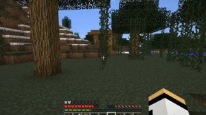 minecraft#2(ферма шахта и много кремня)