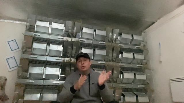 КАК СТАТЬ УСПЕШНЫМ ШИНШИЛЛОВОДОМ | ШИНШИЛЛОВАЯ ФЕРМА | ФЕРМА ШИНШИЛЛ смотреть онлайн