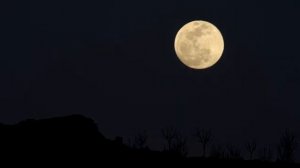 The Pink Moon | April Full Moon | Paschal Moon | Full Moon