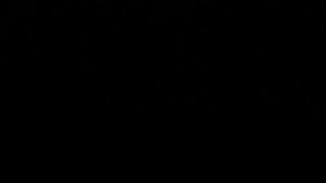 Флиттеры и глиттеры (Тест звёзд №2)