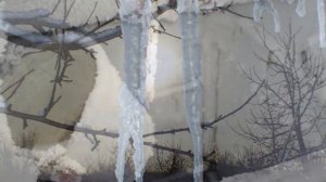 "ПРОЩАЙ, РАДОСТЬ, ЖИЗНЬ МОЯ"... (Русская народная песня - Поёт Борис Штоколов)