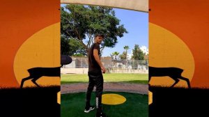 ЧЕСТЕР НЕБРО - ПЫЛЬ ДА ТУМАН