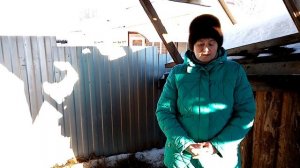 Самые главные вопросы о курах.