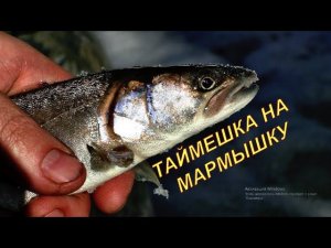 НАШЛИ РЕЧКУ С ТАЙМЕНЕМ! ЗАБРОСКА ВТОРОЙ ПРИВАДЫ.