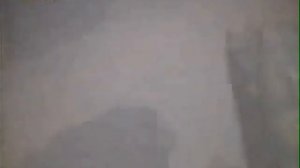 Горилла спасла ребенка