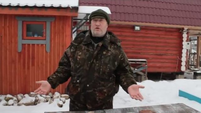Источники кальция для кур несушек.