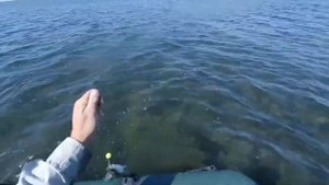 Рыбалка с лодки, кефаль далеко стоит