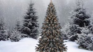 ? В лесу родилась Ёлочка - детская новогодняя песня!
