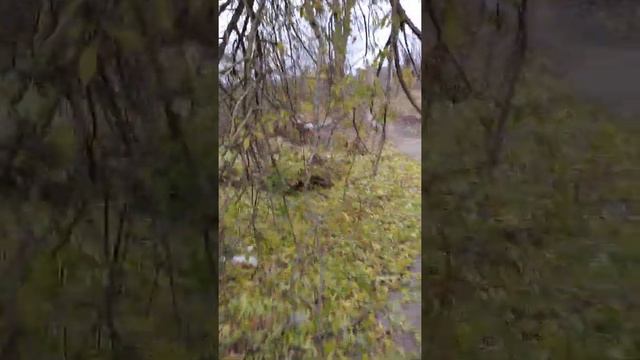 мусоросборник в поселке Пески Коломенского района Московской области смотреть онлайн